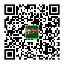 qrcode_for_gh_9f250f9076be_258